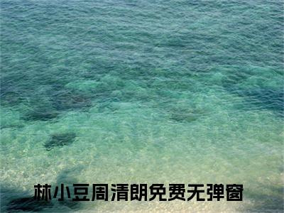 抖音小说（林小豆周清朗）主角是（林小豆周清朗）全文完整版免费阅读最新章节列表_笔趣阁