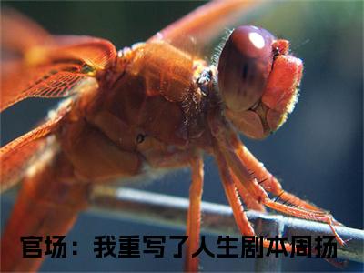 官场：我重写了人生剧本周扬（官场：我重写了人生剧本周扬）全文免费阅读无弹窗大结局_ (官场：我重写了人生剧本周扬小说免费阅读)最新章节列表_笔趣阁（官场：我重写了人生剧本周扬）