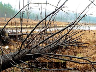 江雨茉霍寒煜（江雨茉霍寒煜全文免费阅读）完结阅读_江雨茉霍寒煜全文免费阅读免费看全文