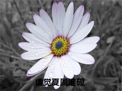 虞觉夏周淮砚全文免费阅读无弹窗大结局_（虞觉夏周淮砚无弹窗）虞觉夏周淮砚全文阅读最新章节列表笔趣阁