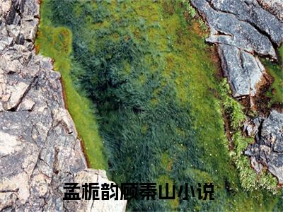 孟栀韵顾秦山全文（孟栀韵顾秦山免费阅读）全文免费阅读无弹窗大结局_孟栀韵顾秦山最新章节列表_笔趣阁（孟栀韵顾秦山免费阅读）