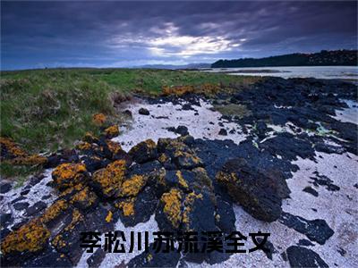 李松川苏流溪（李松川苏流溪）全文免费阅读无弹窗大结局李松川苏流溪