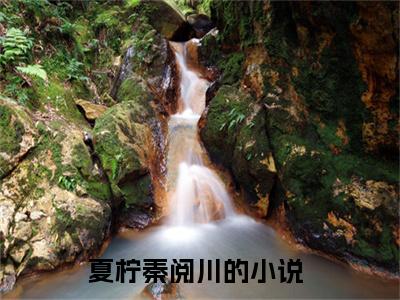 夏柠秦阅川(夏柠秦阅川)全文免费阅读无弹窗大结局-夏柠秦阅川求书热文免费阅读