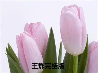 王炸（傅睿白）全文免费阅读无弹窗大结局_王炸最新章节列表