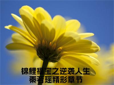 锦鲤福宝之逆袭人生秦若瑶（锦鲤福宝之逆袭人生秦若瑶）全文免费阅读无弹窗大结局_锦鲤福宝之逆袭人生秦若瑶最新章节列表_