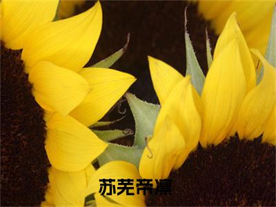 苏芜帝凛（苏芜帝凛）全文免费阅读-小说苏芜帝凛最新章节阅读笔趣阁