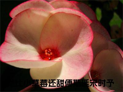 傅斯延宋时予小说（她比小草莓还甜）无弹窗大结局-她比小草莓还甜（傅斯延宋时予）完整版免费阅读