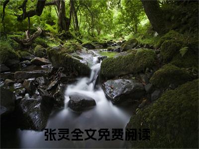 张灵终极守护全文小说-张灵小说最新章节免费阅读