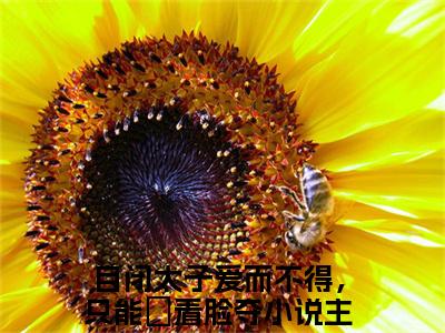 自闭太子爱而不得，只能觍着脸夺（林以棠李泽煜）全本完整版免费阅读_（自闭太子爱而不得，只能觍着脸夺）林以棠李泽煜全文章节目录_笔趣阁