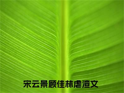 宋云景顾佳林全文免费阅读_（宋云景顾佳林免费阅读无弹窗）宋云景顾佳林最新章节列表