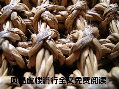 微小说（凤温虞楼渊行）-（凤温虞楼渊行）全文免费阅读