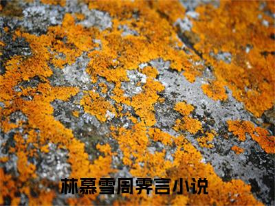 林慕雪周霁言（林慕雪周霁言）全文免费阅读无弹窗大结局_林慕雪周霁言全文阅读_笔趣阁（林慕雪周霁言）