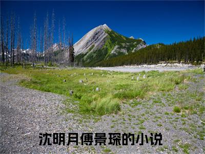 沈明月傅景琛全集小说（沈明月傅景琛）全文免费阅读无弹窗大结局_沈明月傅景琛最新章节列表_笔趣阁（沈明月傅景琛）