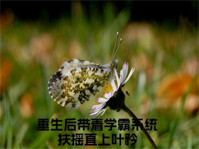 重生后带着学霸系统扶摇直上叶矜精彩章节在线阅读_重生后带着学霸系统扶摇直上叶矜免费观看（重生后带着学霸系统扶摇直上叶矜）完结版_笔趣阁