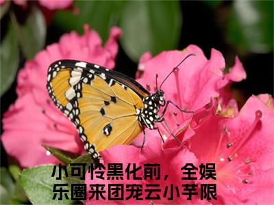 抖音热推新书小可怜黑化前，全娱乐圈来团宠云小芋-抖音热推小可怜黑化前，全娱乐圈来团宠云小芋无弹窗阅读