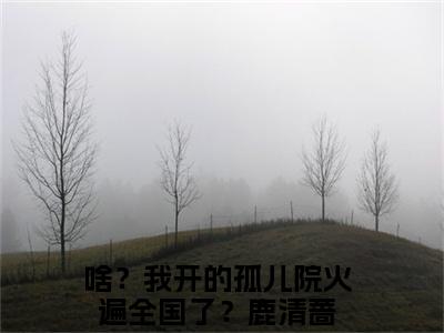 啥？我开的孤儿院火遍全国了？鹿清蔷在线阅读（啥？我开的孤儿院火遍全国了？鹿清蔷）全文免费阅读无弹窗大结局_啥？我开的孤儿院火遍全国了？鹿清蔷免费最新章节列表_笔趣阁（啥？我开的孤儿院火遍全国了？鹿清蔷）