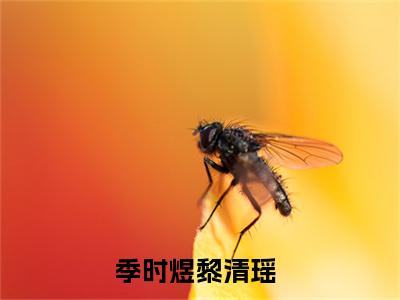 季时煜黎清瑶全文免费阅读（季时煜黎清瑶免费阅读无弹窗）季时煜黎清瑶最新章节列表_笔趣阁