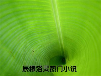 辰穆洛灵小说全文（辰穆洛灵）完整版阅读-辰穆洛灵小说全文无删减版