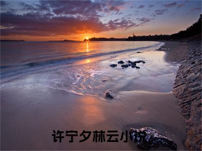 许宁夕林云小说（许宁夕林云）全文免费阅读无弹窗许宁夕林云全文免费阅读无弹窗最新章节列表_笔趣阁