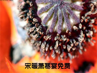 宋暖萧寒宴（宋暖萧寒宴）全文免费阅读无弹窗大结局-（宋暖萧寒宴）无弹窗-笔趣阁