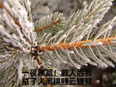 一夜暴富！救人后我成了人间锦鲤云鲤最新更新热门榜单小说（一夜暴富！救人后我成了人间锦鲤云鲤全集小说完整版笔趣阁）一夜暴富！救人后我成了人间锦鲤云鲤全文阅读