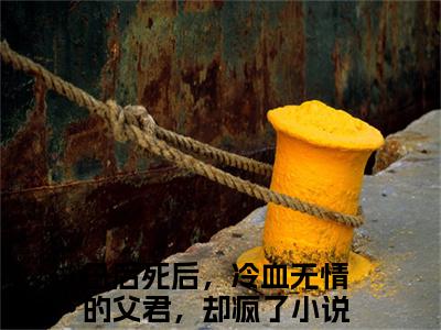 洛芜东方应渊小说（母后死后，冷血无情的父君，却疯了）全文免费阅读无弹窗大结局-母后死后，冷血无情的父君，却疯了最新热点小说