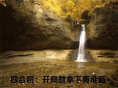 四合院：开局就拿下秦淮茹（苏旭）全文免费阅读无弹窗_（苏旭的小说全文免费阅读）四合院：开局就拿下秦淮茹小说最新章节列表无删减