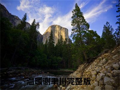 热文（温暖谢聿川）美文阅读_热门小说温暖谢聿川主人公是（九爷别装了，温小姐她要去领证了）完整版最新小说大结局_笔趣阁