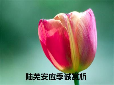 陆芜安应季诚（陆芜安应季诚）免费阅读无弹窗大结局-陆芜安应季诚免费阅读大结局最新章节列表_笔趣阁