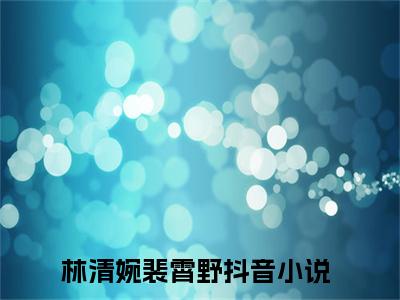 林清婉裴霄野小说（林清婉裴霄野）全文在线阅读无弹窗大结局