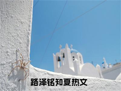 路泽铭知夏现言热文路泽铭知夏在线阅读-（路泽铭知夏）小说分享大结局路泽铭知夏