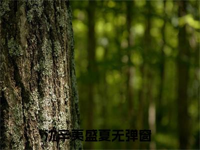 沈辛夷盛夏（沈辛夷盛夏）全文免费阅读无弹窗大结局_沈辛夷盛夏最新章节列表（沈辛夷盛夏）