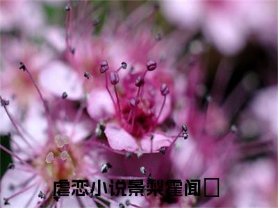 景梨霍闻璟小说最新章节（景梨霍闻璟）全文免费阅读无弹窗大结局_景梨霍闻璟小说（景梨霍闻璟小说：景梨霍闻璟）