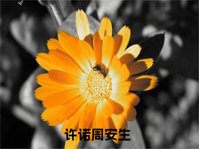 许诺周安生全文免费阅读无弹窗大结局-许诺周安生最新章节免费阅读