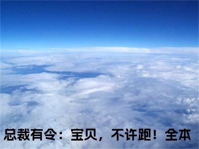 总裁有令：宝贝，不许跑！（秦恩甜陆令山）全文免费阅读无弹窗大结局_总裁有令：宝贝，不许跑！小说最新章节列表_笔趣阁