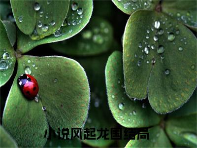 苏泽（风起龙国）小说全文大结局-（风起龙国）全章节完整版在线阅读