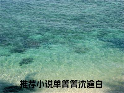 单箐箐沈逾白（单箐箐沈逾白）全文免费阅读无弹窗大结局_单箐箐沈逾白完本小说最新章节阅读