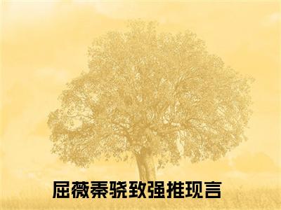 放弃挽回前男友后，她成功解脱了小说（屈薇秦骁致）全文免费阅读无弹窗_放弃挽回前男友后，她成功解脱了小说_笔趣阁