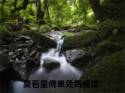 夏若星傅聿小说最新章节-夏若星傅聿在线免费阅读