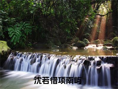 沈若惜项南屿（沈若惜项南屿）小说在线阅读_沈若惜项南屿全本免费小说阅读（沈若惜项南屿）