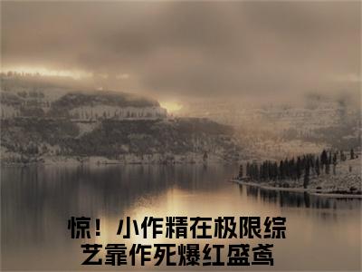 惊！小作精在极限综艺靠作死爆红全文免费阅读无弹窗大结局，盛鸢小说最新章节