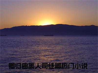 卿归曲离人司徒卿全集小说（卿归曲离人司徒卿）全文免费阅读无弹窗大结局_卿归曲离人司徒卿最新章节列表_笔趣阁（卿归曲离人司徒卿）