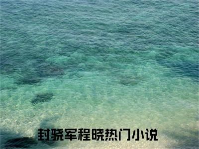 封骁军程晓精选小说大结局阅读-最新小说(封骁军程晓)全文阅读