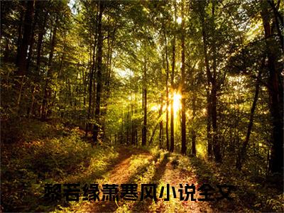 黎若缘萧寒风小说-《黎若缘萧寒风》完整章节阅读无弹窗免费阅读大结局