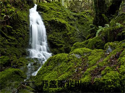 苏盏秦兆川小说(苏盏秦兆川)全文免费阅读无弹窗大结局_(苏盏秦兆川免费阅读全文大结局)最新章节列表_笔趣阁（苏盏秦兆川）