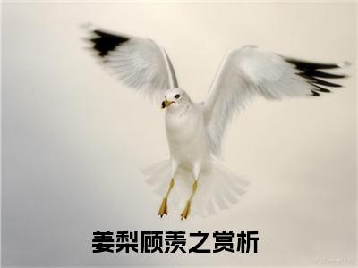 姜梨顾羡之完整版最新小说大结局 姜梨顾羡之最新章节