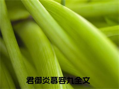 君御炎慕容九精彩小说（君御炎慕容九）阅读大结局 君御炎慕容九免费版小说更新阅读_笔趣阁