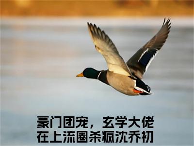 豪门团宠，玄学大佬在上流圈杀疯沈乔初新书热荐免费小说-豪门团宠，玄学大佬在上流圈杀疯沈乔初小说大结局