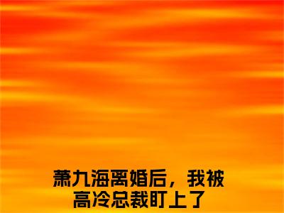 离婚后，我被高冷总裁盯上了高赞小说（萧九海）完结阅读_离婚后，我被高冷总裁盯上了全文完整版免费阅读最新章节列表