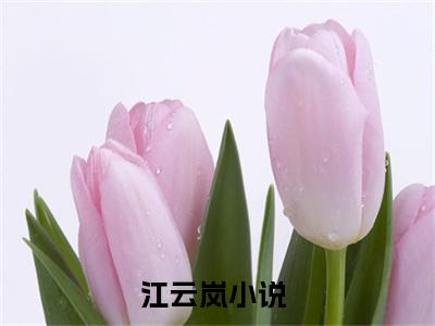 开局一锅毒野菜，糙汉夫君超会撩免费阅读无弹窗大结局-江云岚最新全章节全文阅读免费阅读-笔趣阁